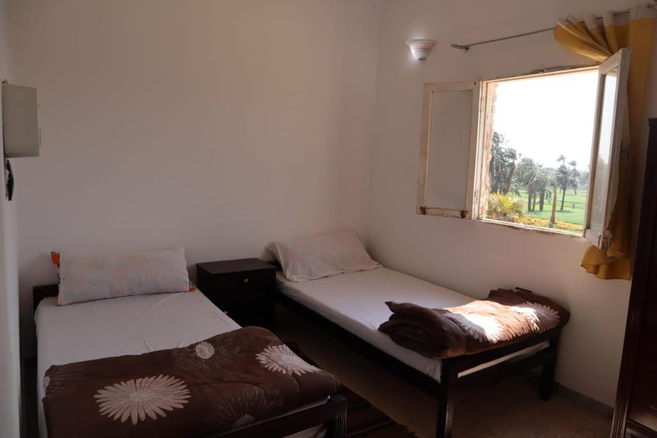 Rose Guest House Luxor Ngoại thất bức ảnh