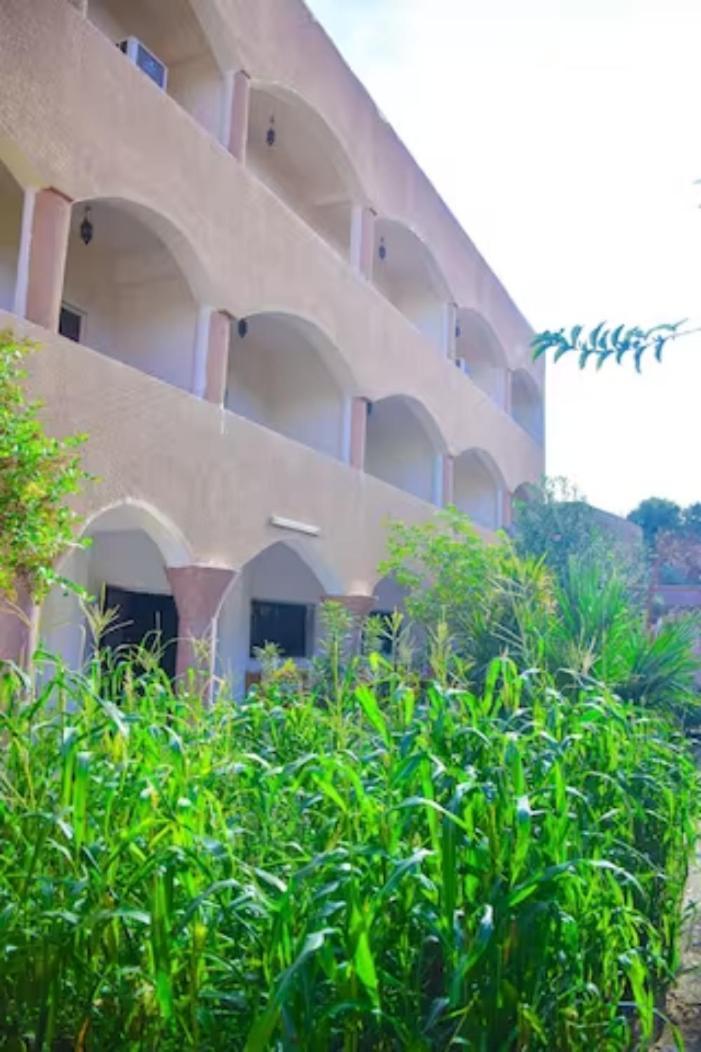 Rose Guest House Luxor Ngoại thất bức ảnh