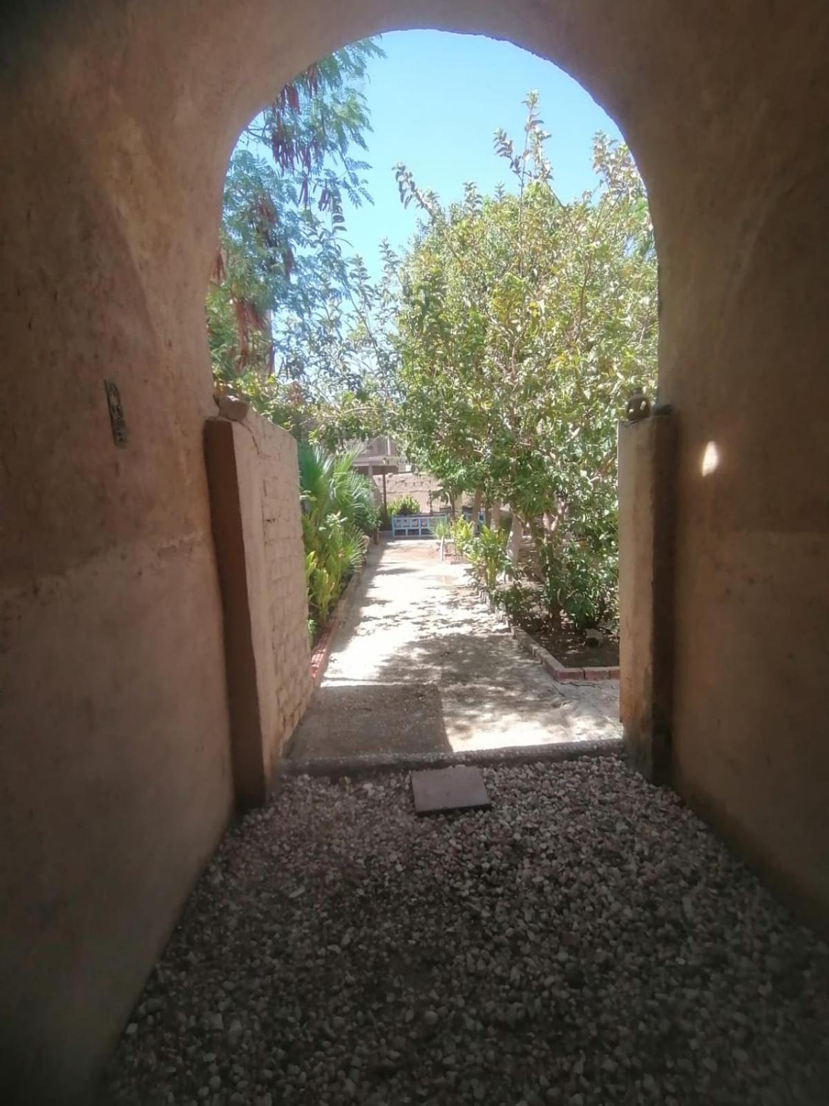 Rose Guest House Luxor Ngoại thất bức ảnh