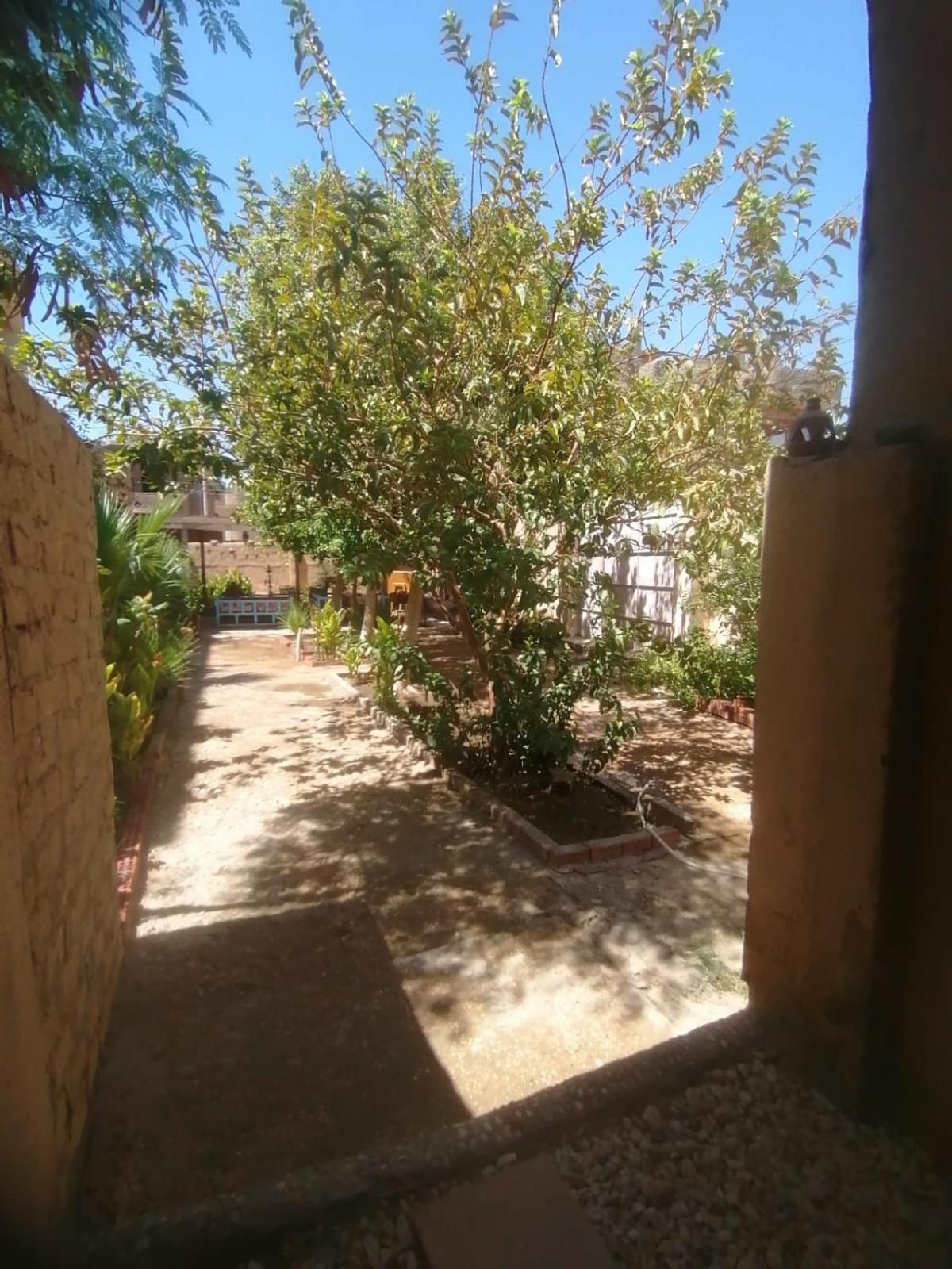 Rose Guest House Luxor Ngoại thất bức ảnh