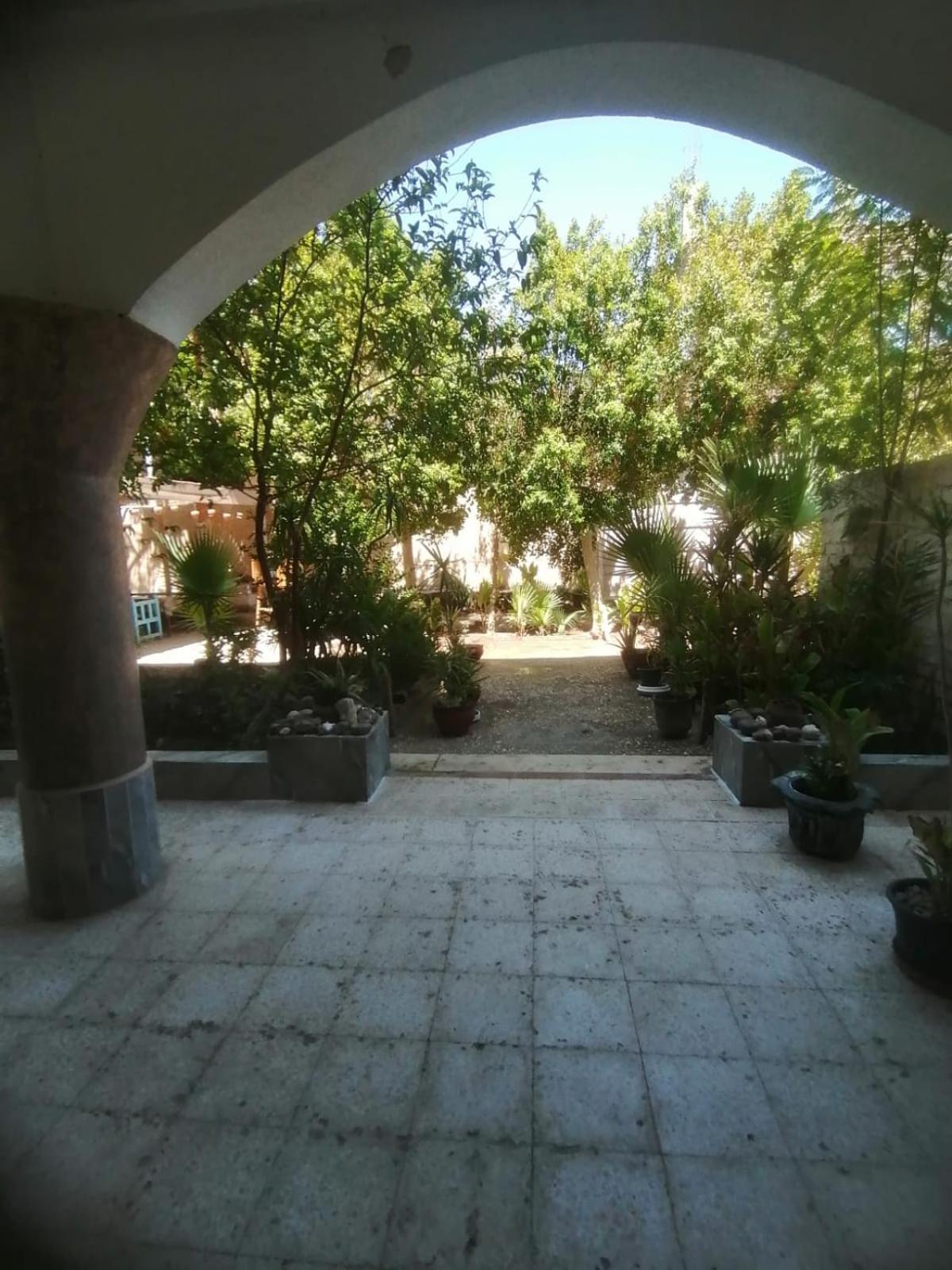 Rose Guest House Luxor Ngoại thất bức ảnh