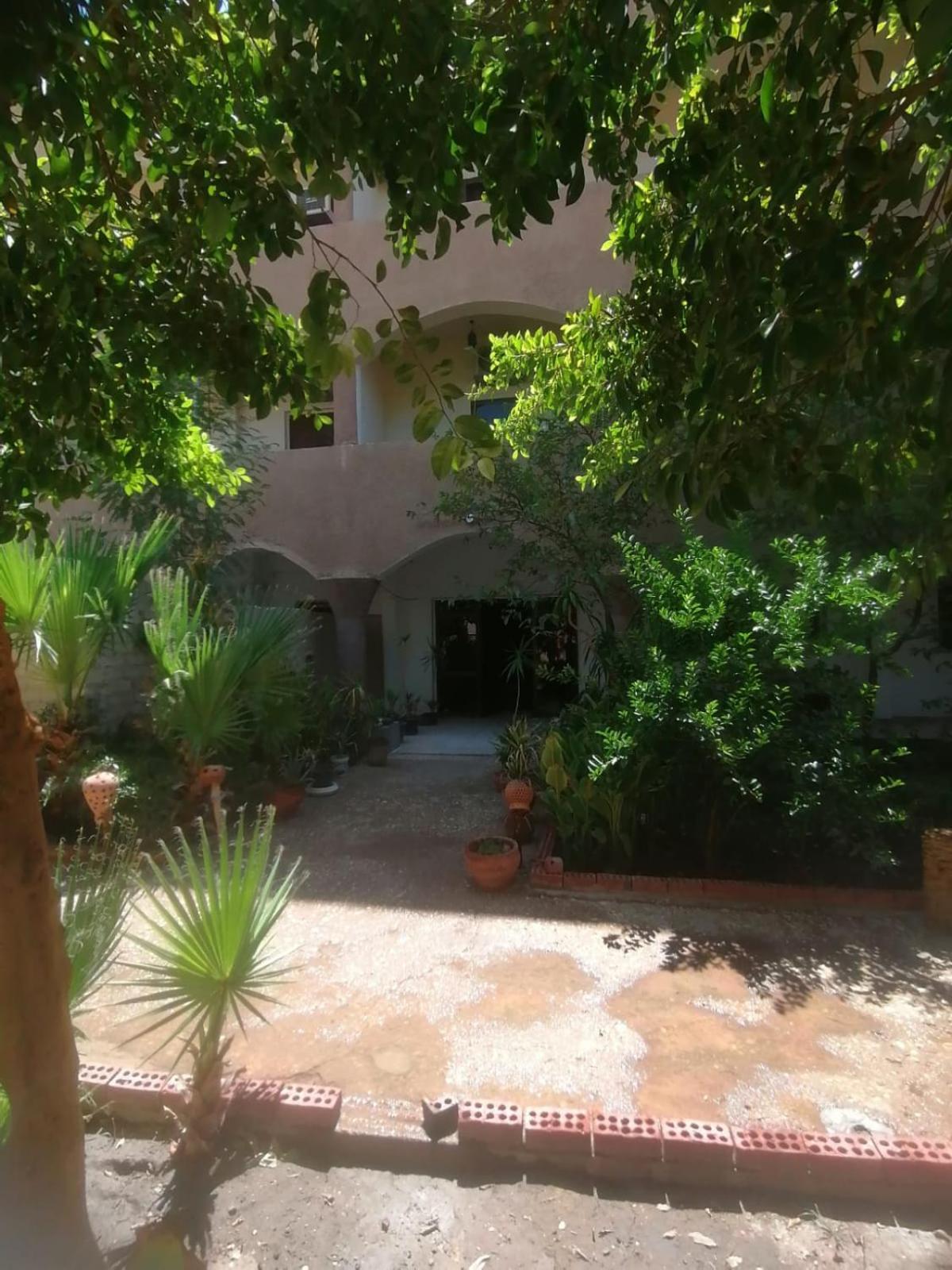 Rose Guest House Luxor Ngoại thất bức ảnh